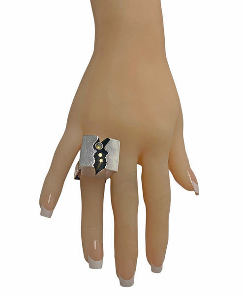 Walter Schluep Sterling silver 18K Gold Ring
